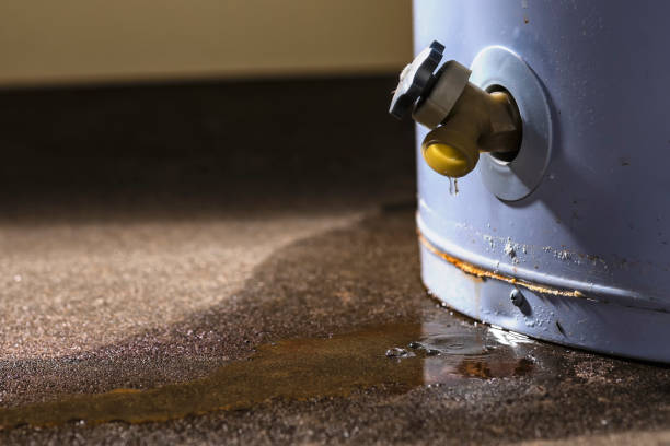 Best Basement water damage restoration  in Brown Station, MD