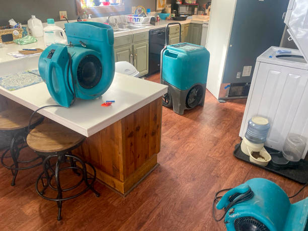 Best Water damage cleanup near me  in Brown Station, MD