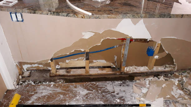 Best Ceiling water damage repair  in Brown Station, MD