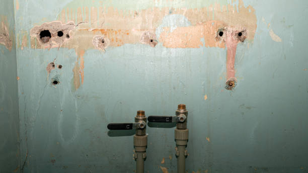Best Professional water damage repair  in Brown Station, MD